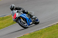 PJ-Motorsport-2019;anglesey-no-limits-trackday;anglesey-photographs;anglesey-trackday-photographs;enduro-digital-images;event-digital-images;eventdigitalimages;no-limits-trackdays;peter-wileman-photography;racing-digital-images;trac-mon;trackday-digital-images;trackday-photos;ty-croes